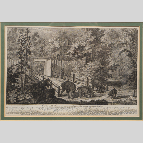 ​Гравюра «Дикие кабаны в загоне», Германия, XVIII век