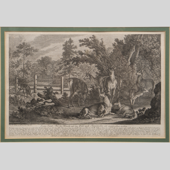 ​Гравюра «Загон для оленей во французском стиле», Германия, XVIII век