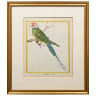 Related product image