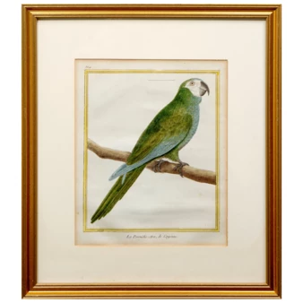 Related product image