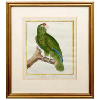 Related product image