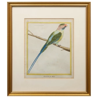 Related product image