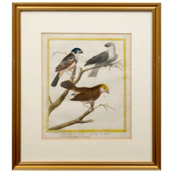 Related product image