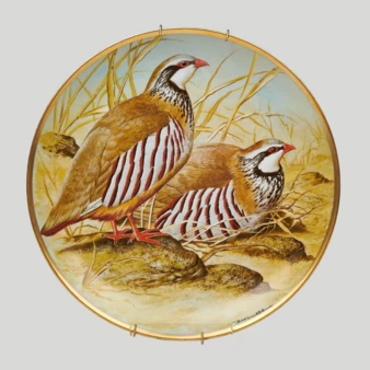 Related product image