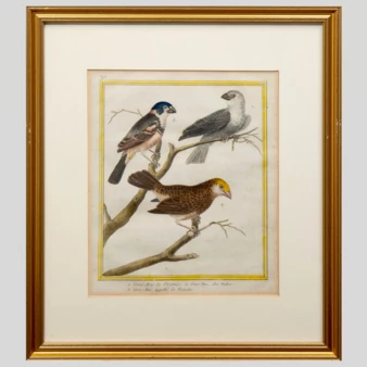 Related product image