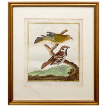 Гравюра «Воробей и зеленушка», Франция, 1765-1770-е гг.