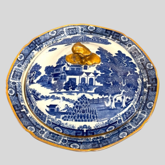 Терина, Англия, XIX век