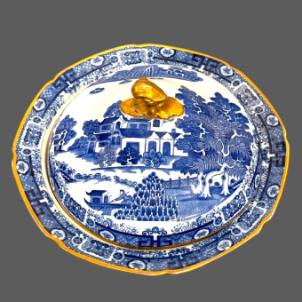 Терина, Англия, XIX век