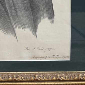 Литография Г. Гиппиуса, Россия, 1820-1830-е гг.